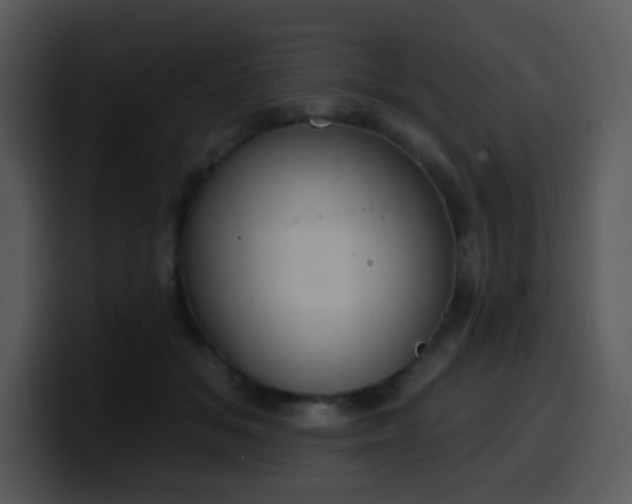 X0000100410509200806061344