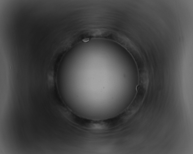 X0000100410510200806061344