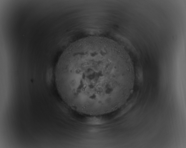 X0000100410511200806061344