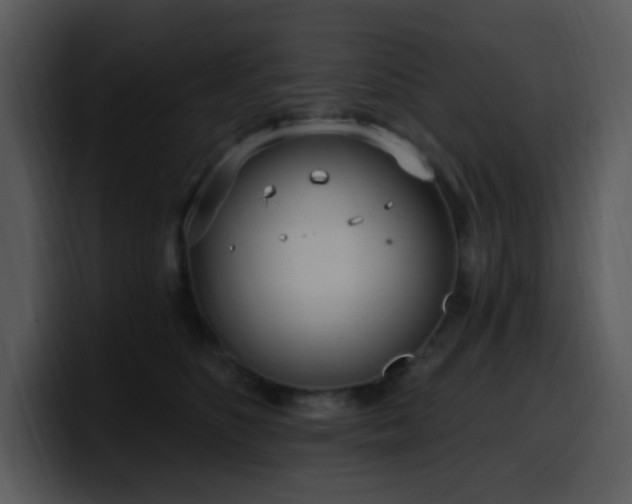 X0000100410516200806061344