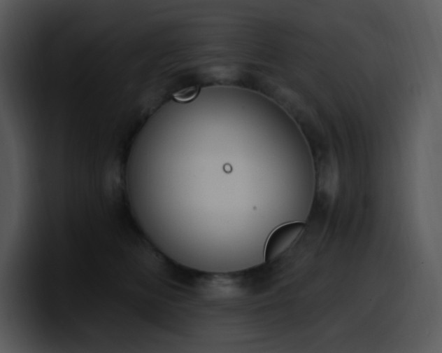 X0000100410518200806061344