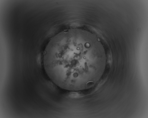 X0000100410519200806061344