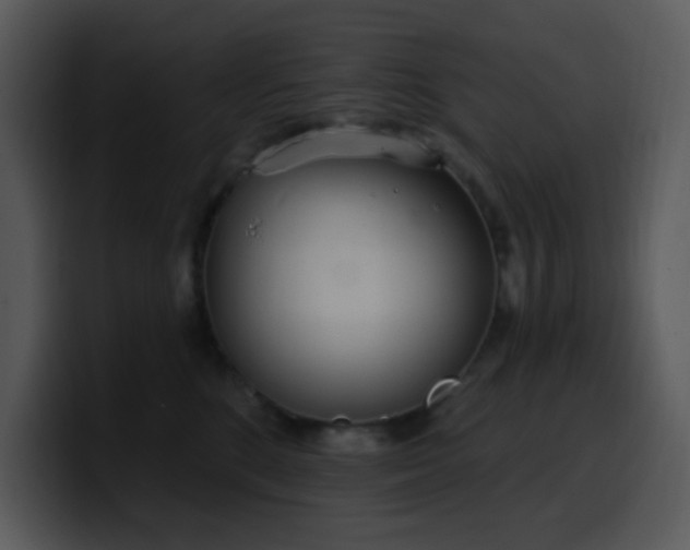 X0000100410520200806061344