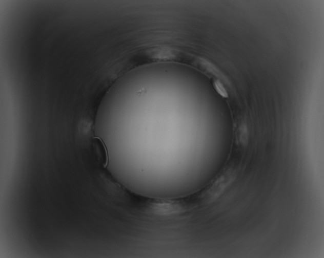 X0000100410521200806061344