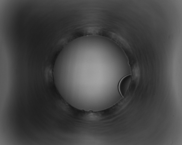 X0000100410522200806061344