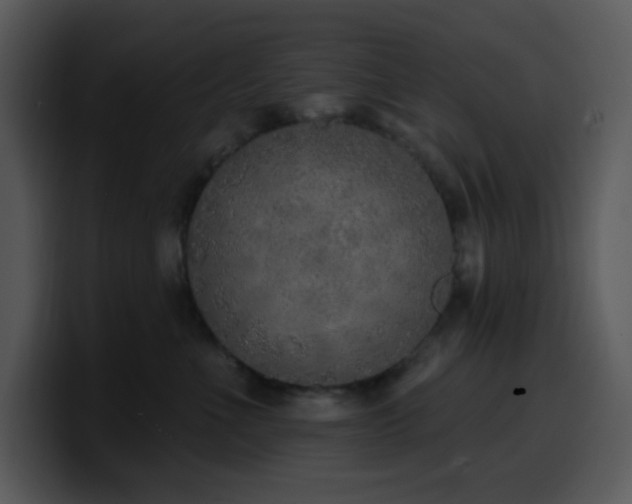 X0000100410523200806061344