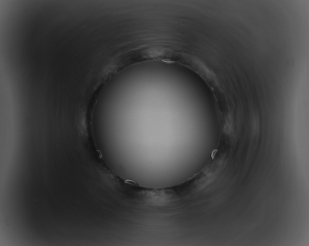 X0000100410524200806061344