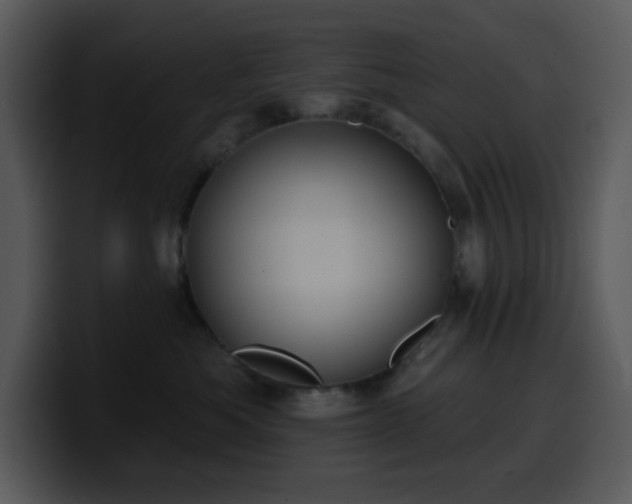 X0000100410525200806061344