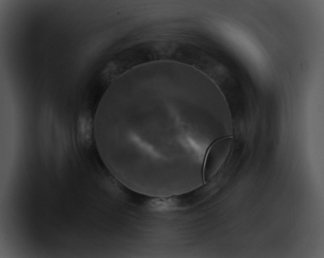 X0000100410526200806061344