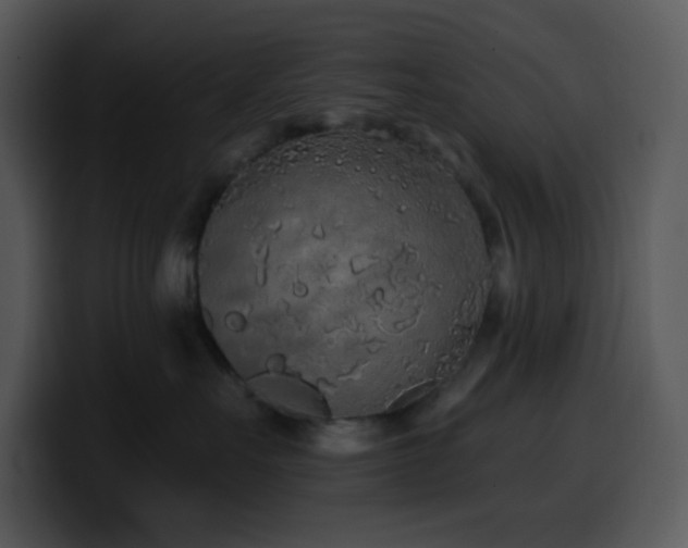 X0000100410527200806061344