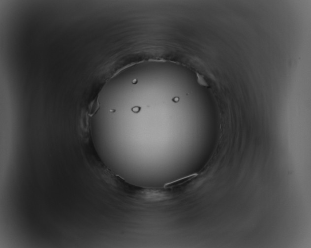 X0000100410528200806061344