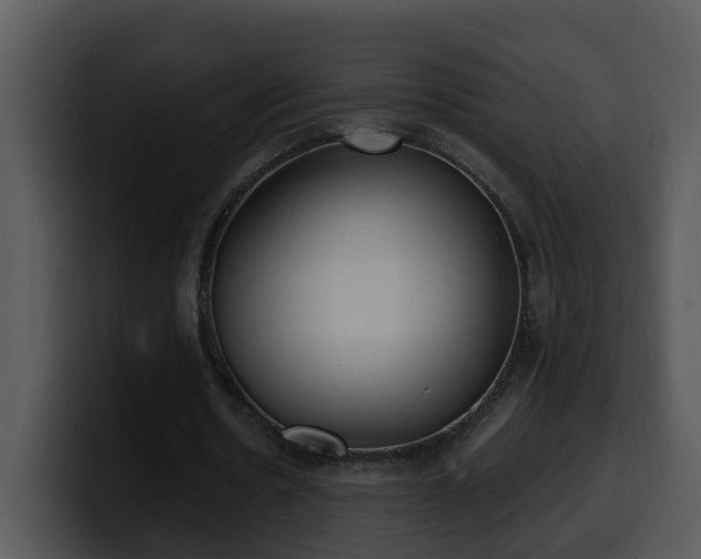 X0000100410530200806061344