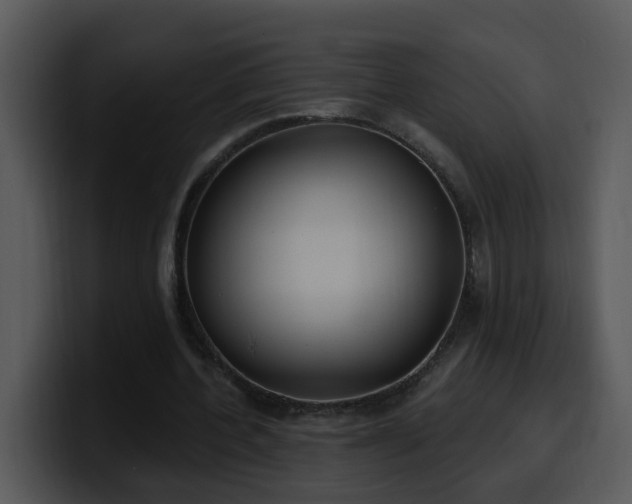 X0000100410532200806061344