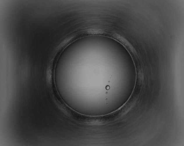 X0000100410533200806061344