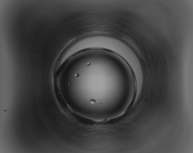 X0000100410534200806061344