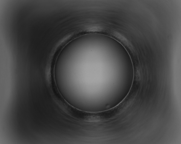 X0000100410535200806061344