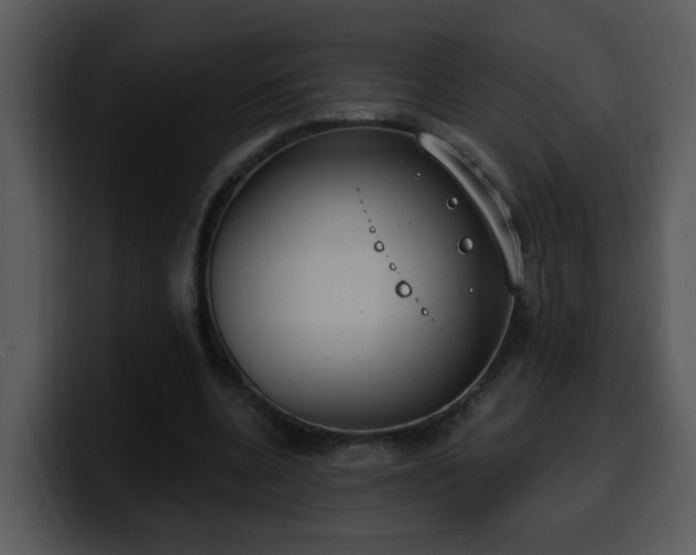 X0000100410536200806061344