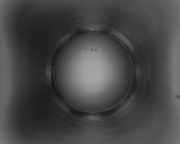 X0000100410537200806061344