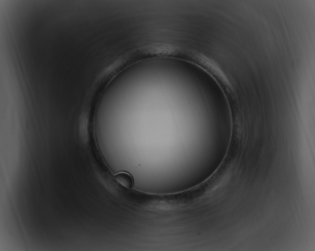 X0000100410538200806061344