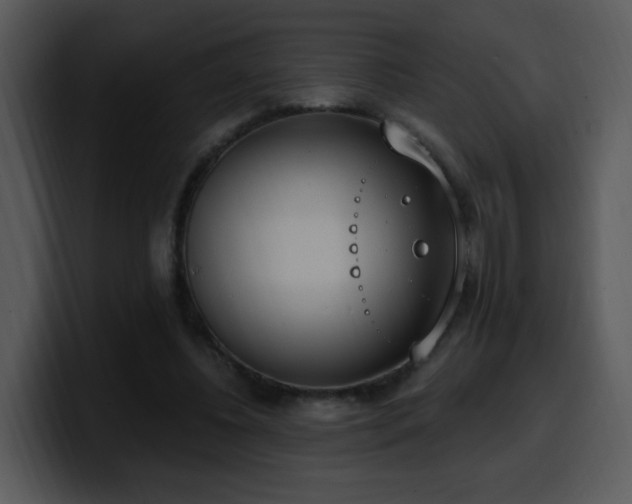 X0000100410540200806061344