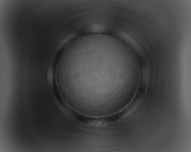 X0000100410542200806061344