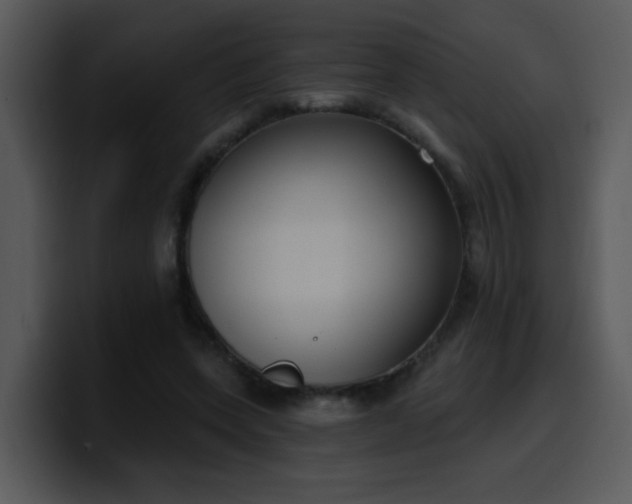 X0000100410543200806061344