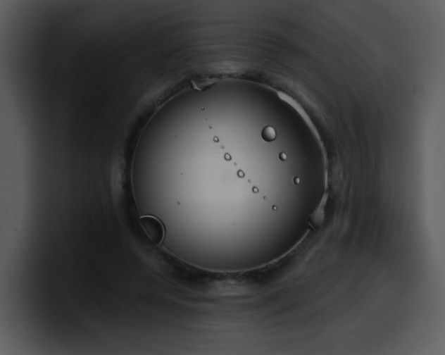 X0000100410544200806061344