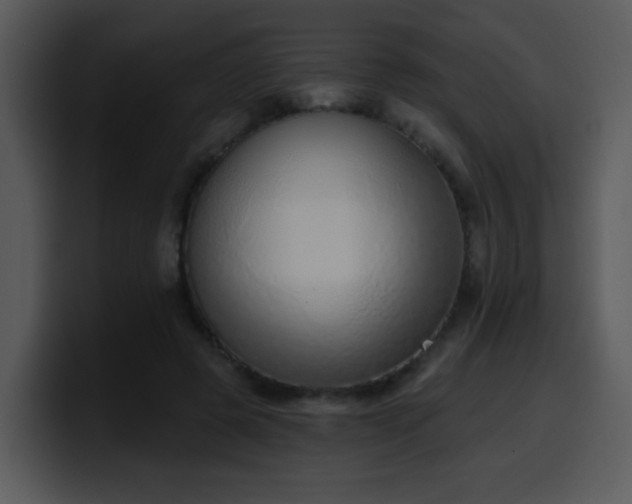 X0000100410545200806061344