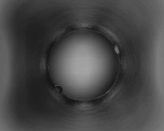 X0000100410546200806061344