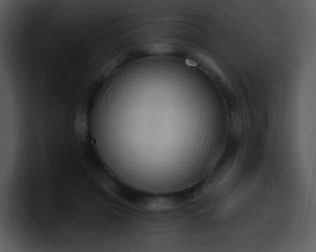 X0000100410549200806061344