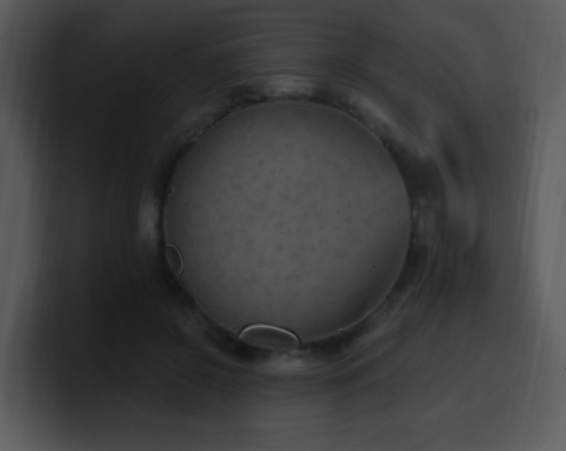 X0000100410550200806061344