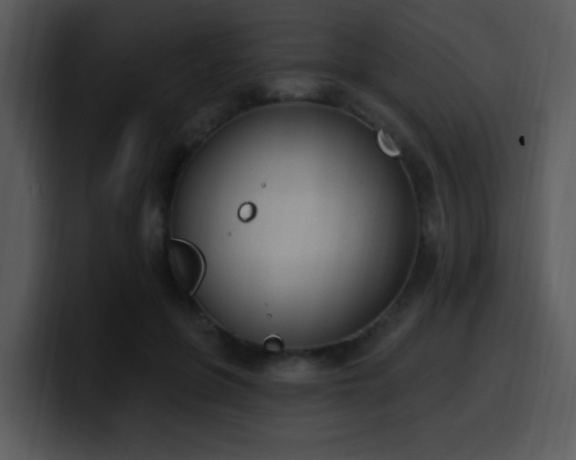 X0000100410551200806061344