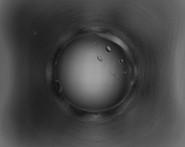 X0000100410552200806061344