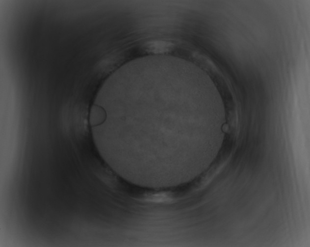 X0000100410553200806061344