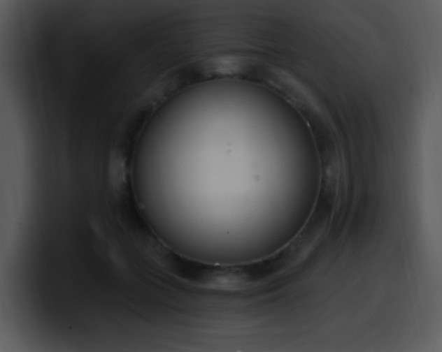 X0000100410555200806061344