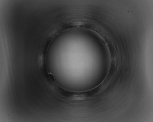 X0000100410556200806061344