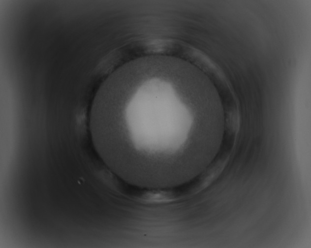 X0000100410557200806061344