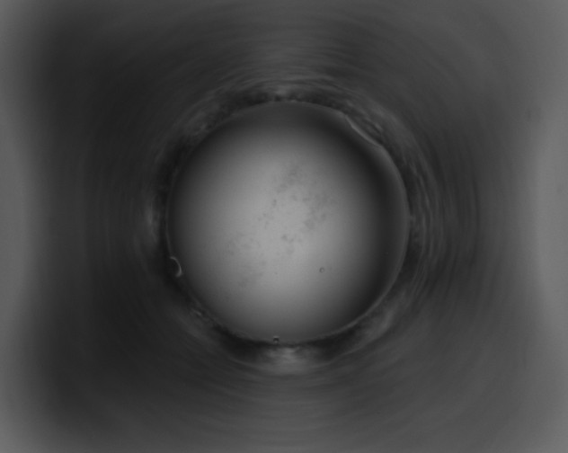 X0000100410558200806061344