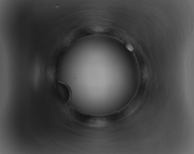 X0000100410559200806061344