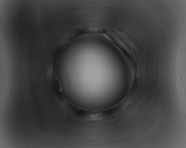 X0000100410560200806061344