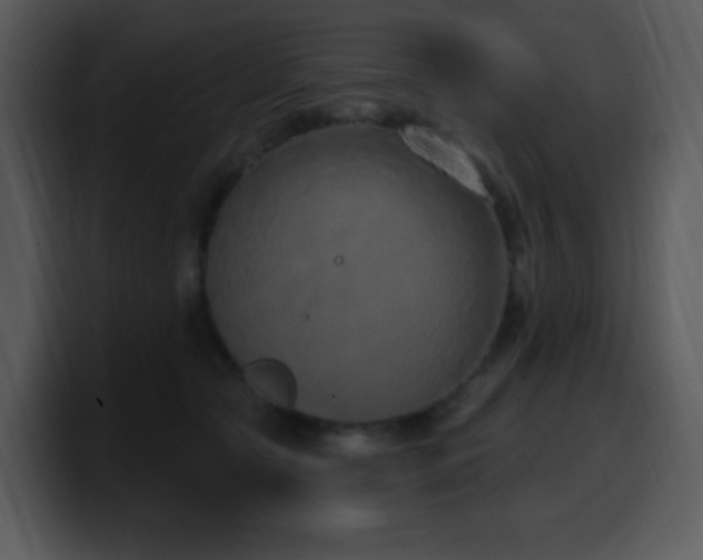 X0000100410561200806061344