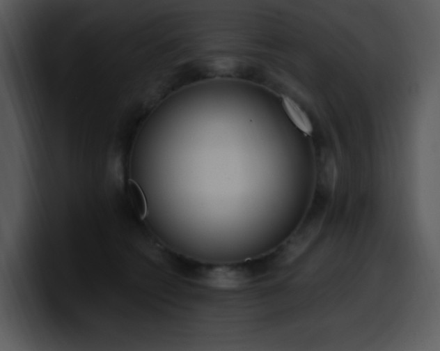 X0000100410562200806061344