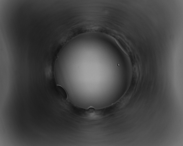 X0000100410564200806061344