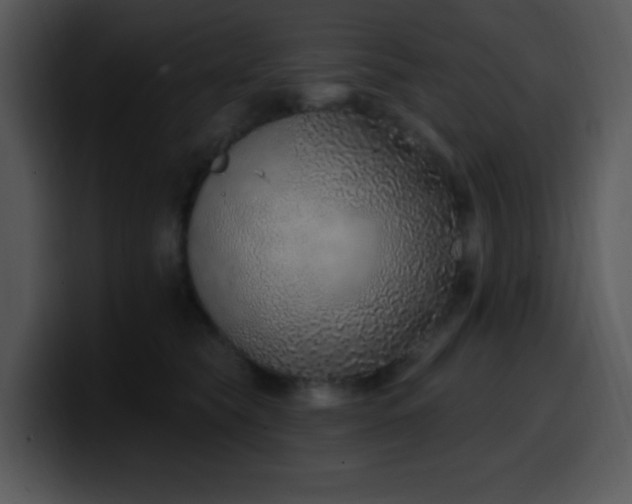 X0000100410565200806061344