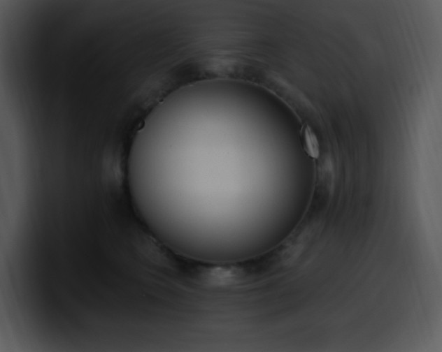 X0000100410566200806061344