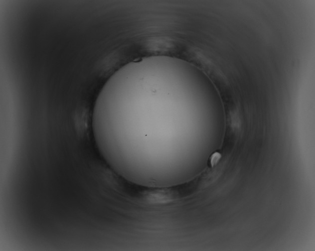 X0000100410567200806061344