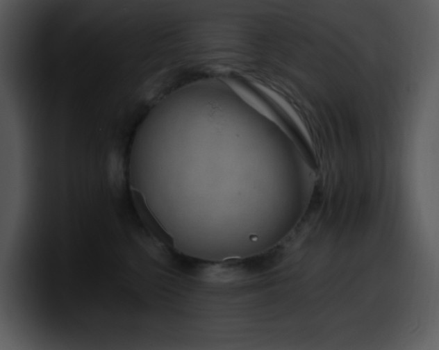 X0000100410568200806061344