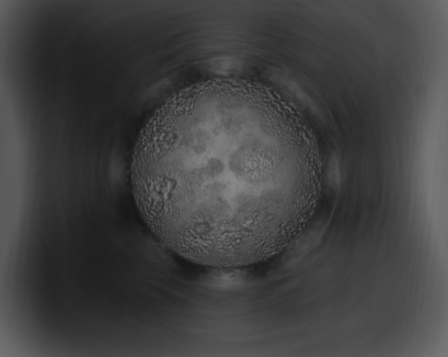 X0000100410569200806061344