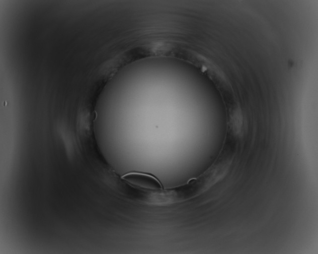 X0000100410571200806061344