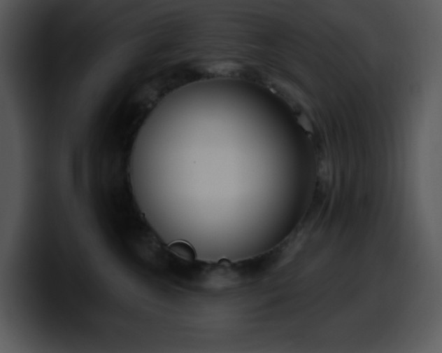 X0000100410572200806061344